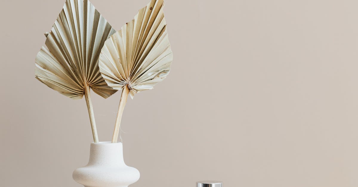 Chemical Peels: A Solution for Enlarged Pores